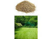 Grass / Lawn Seed (0.5kg / 1.1lb / 8sq yards)